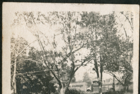 Group sitting on lawn (ddr-densho-293-46)