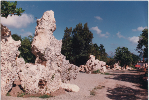 Landscape boulders in Saint Martin (ddr-densho-377-41)