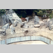 A pond in progress on landscape job, steps in the background (ddr-densho-354-148)