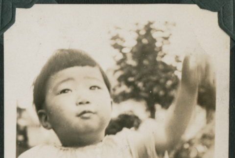 Photo of young child (ddr-densho-355-360)