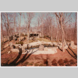 Completed pool (ddr-densho-377-2535)
