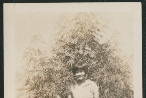 Girl in front of bamboo (ddr-densho-378-273)