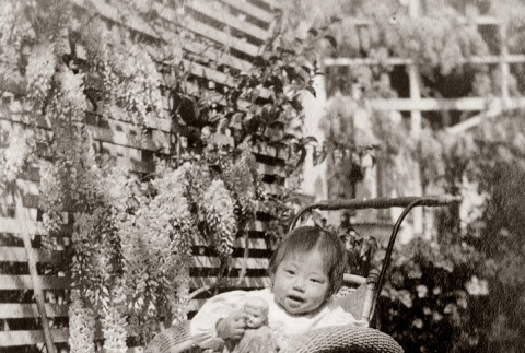Hatsuyo Ozeki in baby carriage with doll (ddr-ajah-6-792)