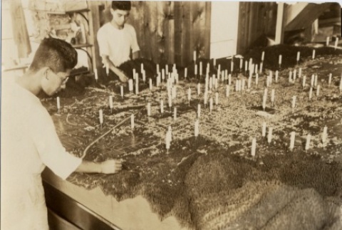 Two men looking at a raised relief topographical map (ddr-njpa-8-3)