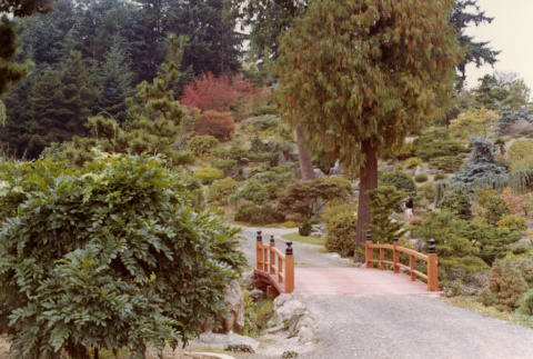 Heart Bridge and plants and trees (ddr-densho-354-496)