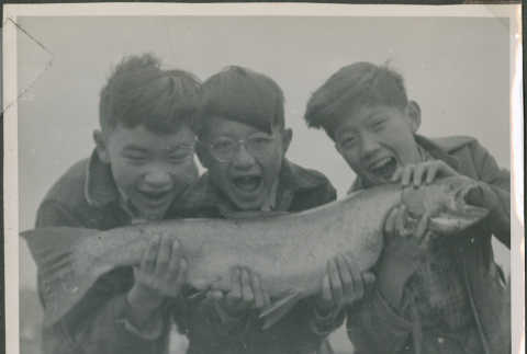 Three boys posing with a fish (ddr-densho-201-844)