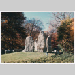 Rock feature on lawn (ddr-densho-377-1984)