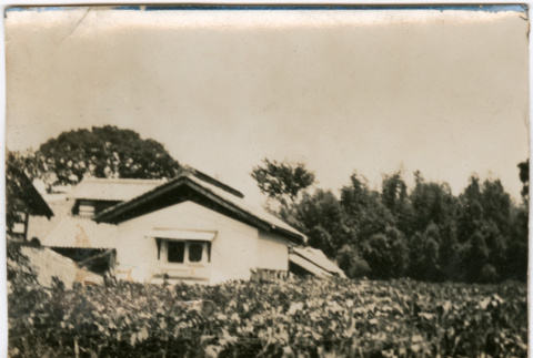 House and field (ddr-densho-426-1556)