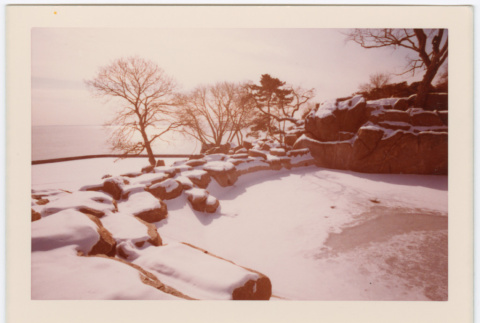 Frozen pond with water view (ddr-densho-377-1737)