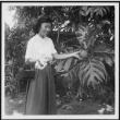 Woman holding breadfruit (ddr-densho-363-143)