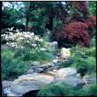 Water feature and landscaping (ddr-densho-377-1480)