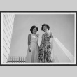 Nisei women pose on staircase (ddr-densho-363-298)