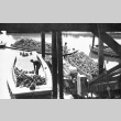 Unloading oysters from a bateau (ddr-densho-15-114)