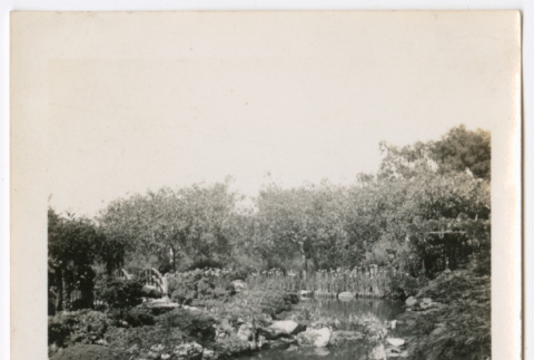 Pond (ddr-densho-377-2256)