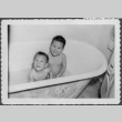 Kenny and Richie in the bath (ddr-densho-443-73)