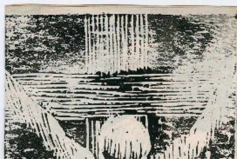 Trifold card from the Hoshinos (ddr-densho-329-1138)