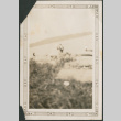 Blurry photo of beach (ddr-densho-316-193)