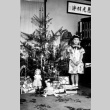 Girl with Christmas tree (ddr-densho-18-81)