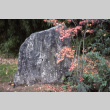 Fossil stone near the Upper pond (ddr-densho-354-1298)