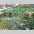 Spring Pond (ddr-densho-354-1860)