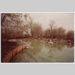 Pond (ddr-densho-377-2101)