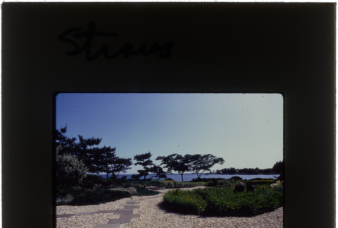 The garden and view of the water from the Straus project (ddr-densho-377-616)