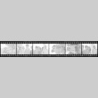 Negative film strip for Farewell to Manzanar scene stills (ddr-densho-317-227)