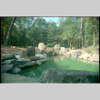 Pool (ddr-densho-377-1835)