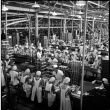 Workers in canning factory (ddr-densho-426-252)