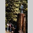 Ernie Kazato standing on top of a tree stump (ddr-densho-336-772)