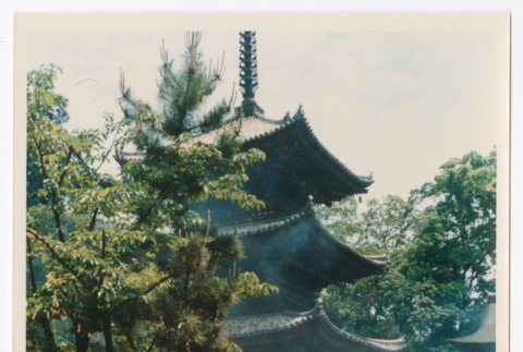 Mitsuye Yabe and Friends at Ishiteji Temple (ddr-ohs-1-176)