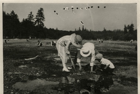 Japanese Americans digging for clams (ddr-densho-182-126)