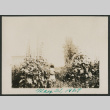 girl in garden (ddr-densho-378-615)
