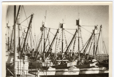 Boats at a harbor (ddr-densho-542-853)