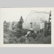 Boy walking by greenhouse (ddr-densho-136-32)
