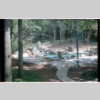 Pool (ddr-densho-377-1798)