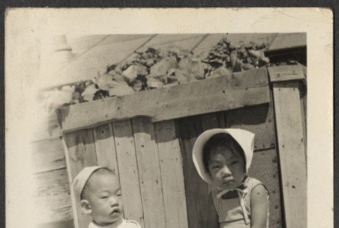 Two children outside (ddr-densho-433-1006)