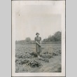 Pauline Sakahara standing in a farm field (ddr-densho-316-52)