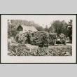 garden (ddr-densho-378-301)