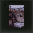Men working on rock garden construction (ddr-densho-377-913)