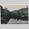 Swans on a Pond (ddr-ohs-1-113)