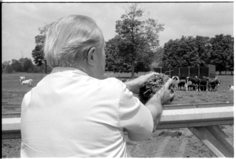 Robert H. Foote on farm (ddr-densho-1007-1247)