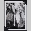 View of Tower Falls (ddr-densho-404-77)