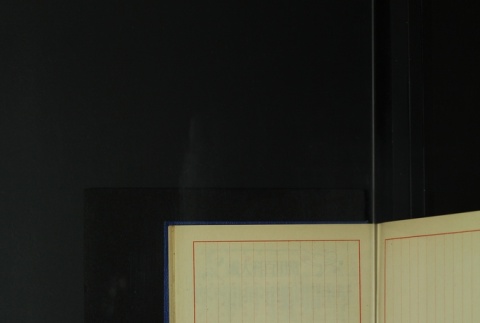 Page 443 (ddr-densho-255-6-master-044dfa3403)