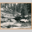 River bank (ddr-densho-468-287)