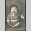 Portrait of baby, sitting (ddr-densho-523-130)
