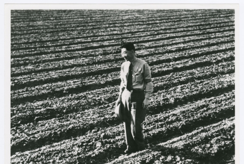 Man in farm field (ddr-densho-1007-294)