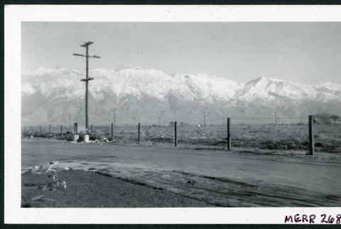Photograph of the road outside of Manzanar (ddr-csujad-47-153)