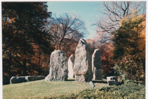 Rock feature on lawn (ddr-densho-377-1984)