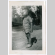 Photo of a child in woods (ddr-densho-483-735)